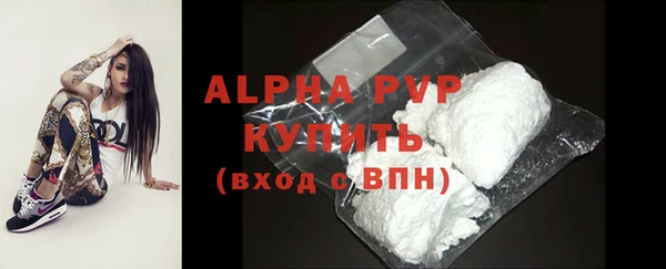 гашик Алексин