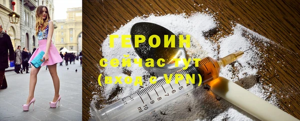 гашик Алексин