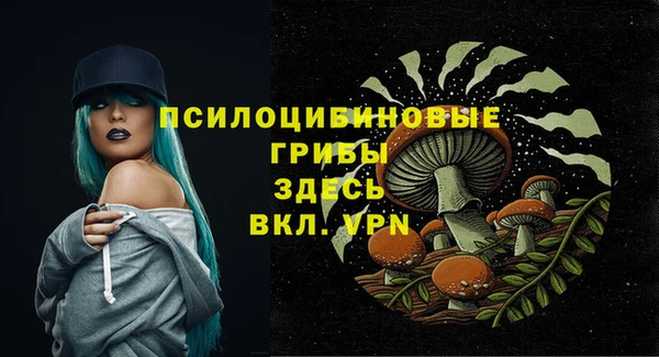 винт Алексеевка