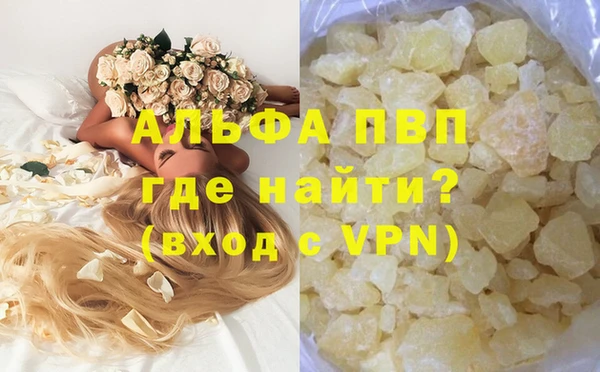 гашик Алексин