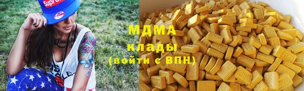 гашик Алексин