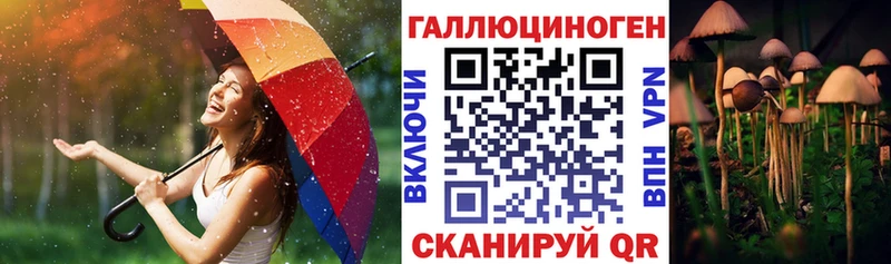 Псилоцибиновые грибы Cubensis Мышкин