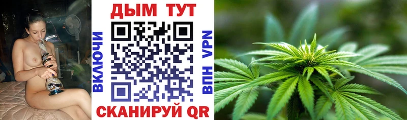 darknet телеграм  Мышкин  Марихуана семена 